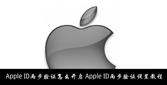 两步验证开启Apple ID设置的方法