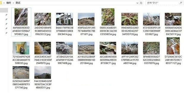 Windows系统如何批量修改照片文件名和添加前缀方法