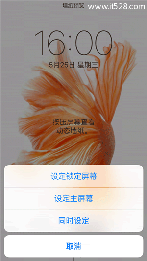 iPhone6s动态壁纸动不了如何设置？